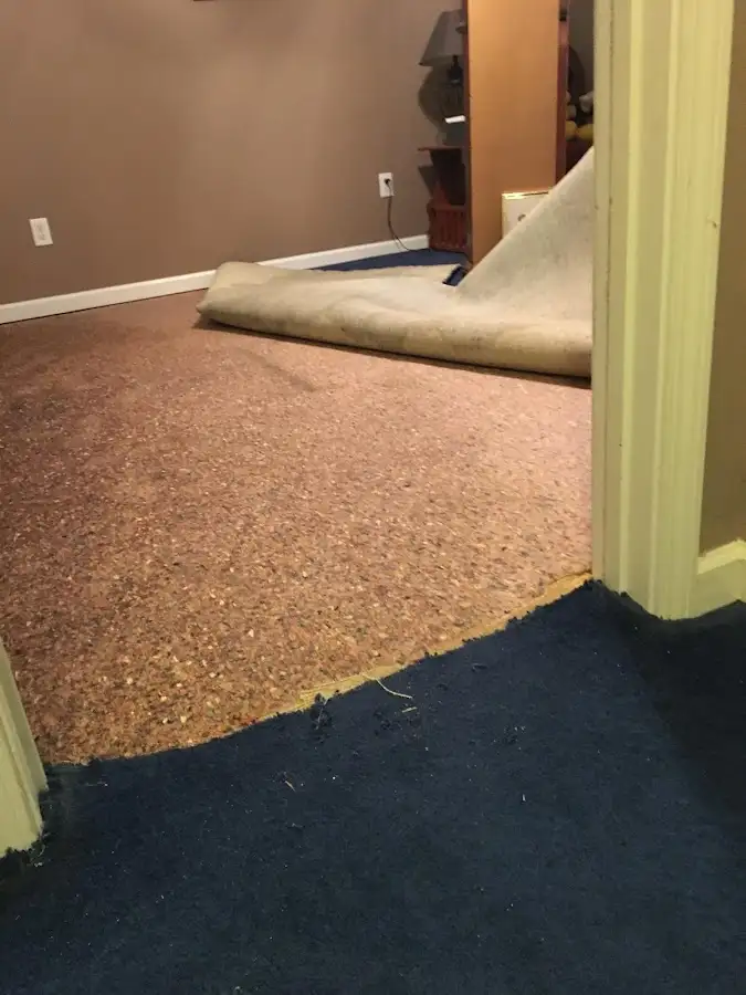 Carpet pad removal revealing water damage during Water Mitigation Services in East Rockaway