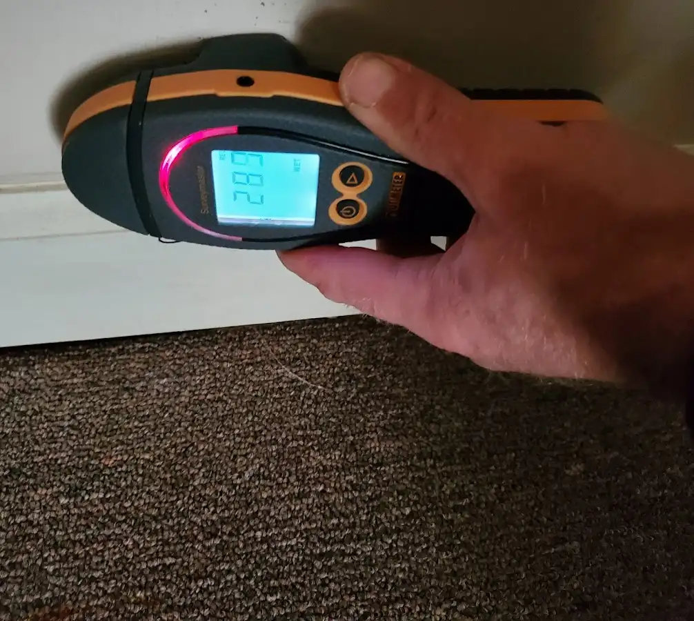 Moisture detection at baseboard during Burst Pipe Cleanup in East Rockaway
